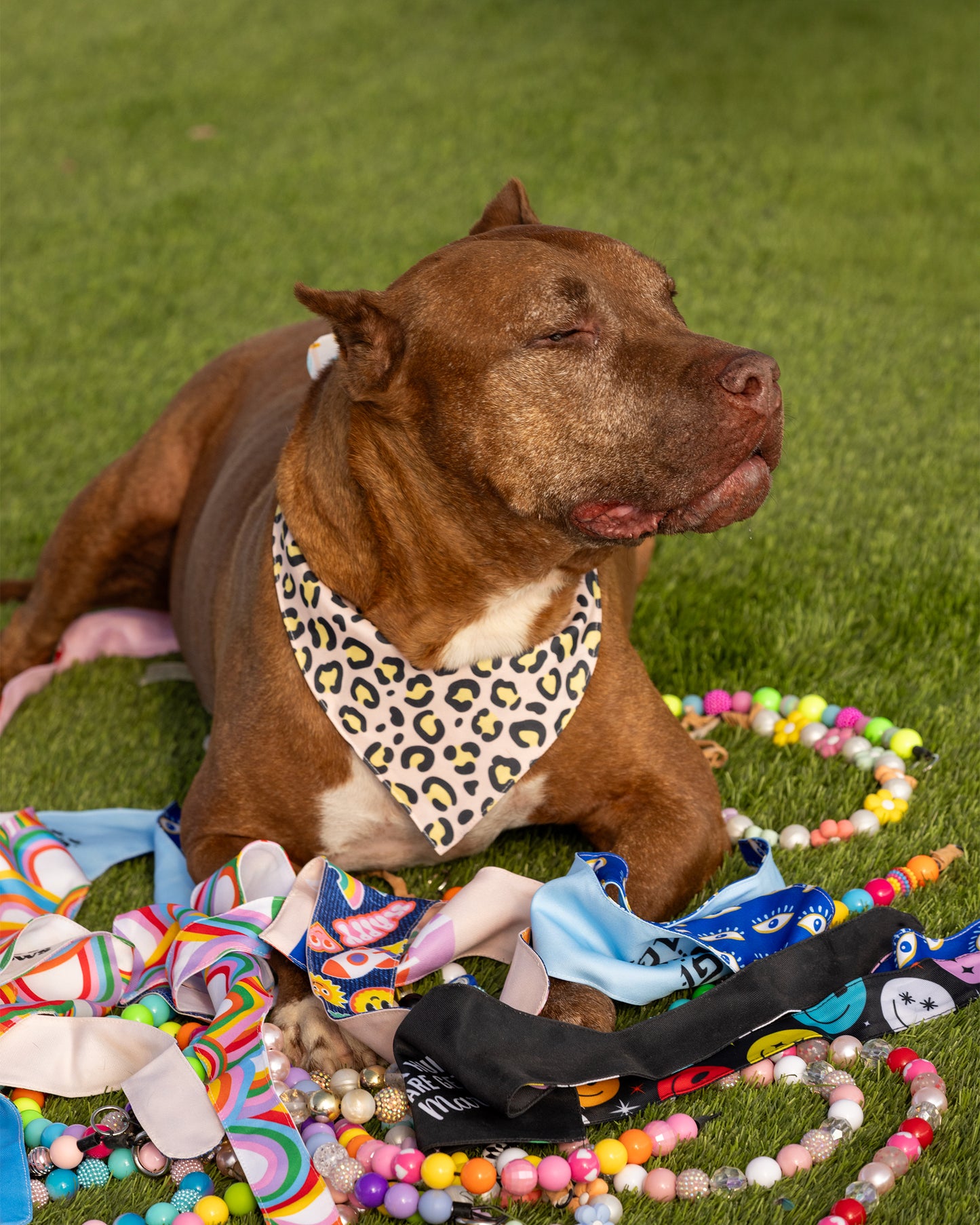 הסיפור של הרקולס