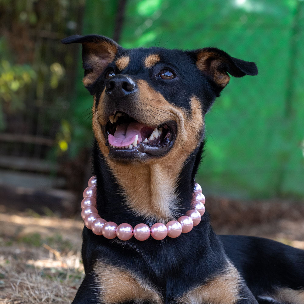 בסטיז בידז Pink Pearls