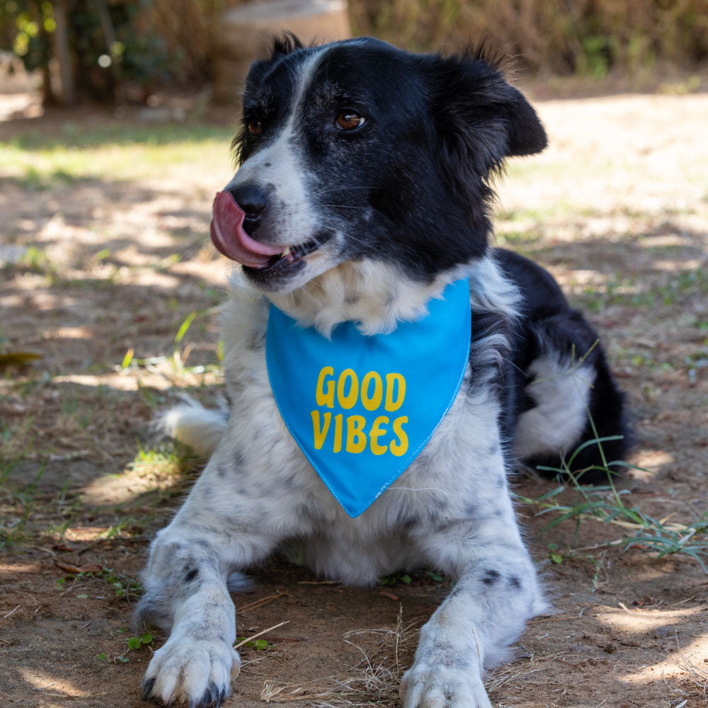 בנדנה Good Vibes
