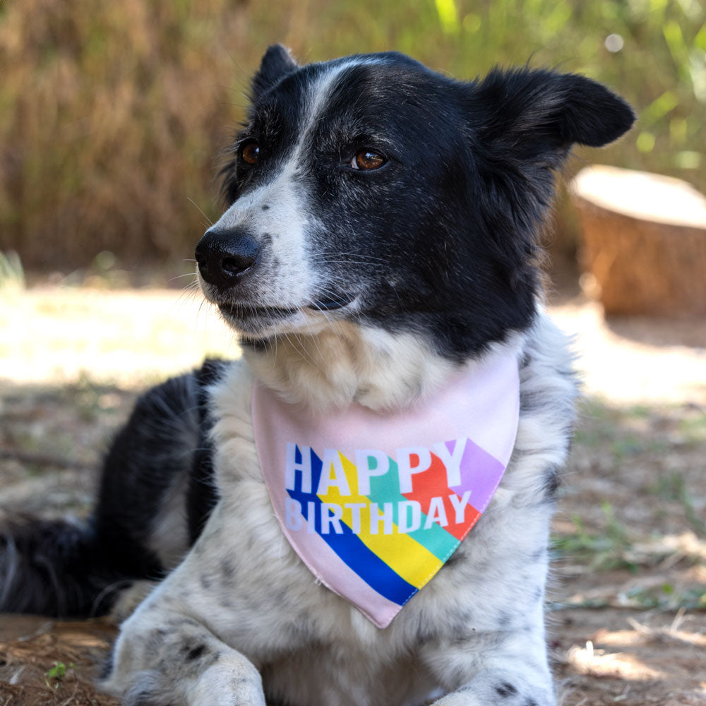 בנדנה Happy Birthday
