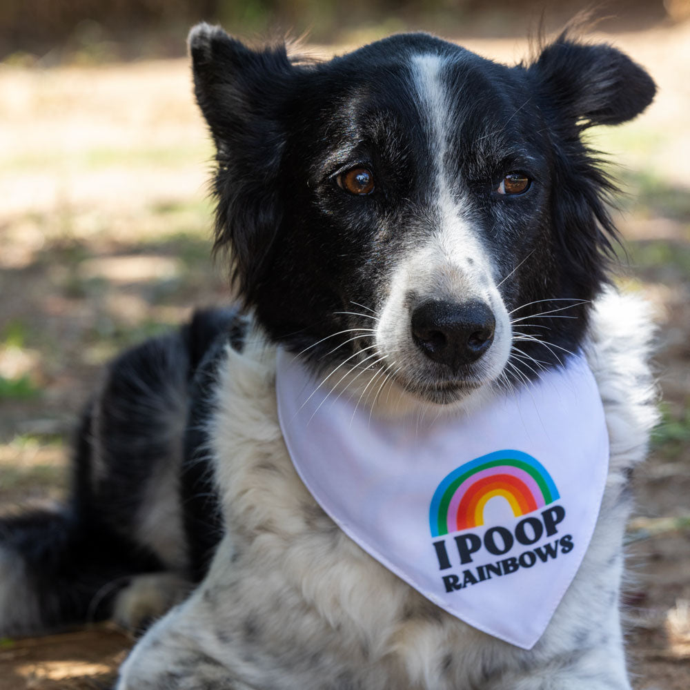 בנדנה I Poop Rainbows