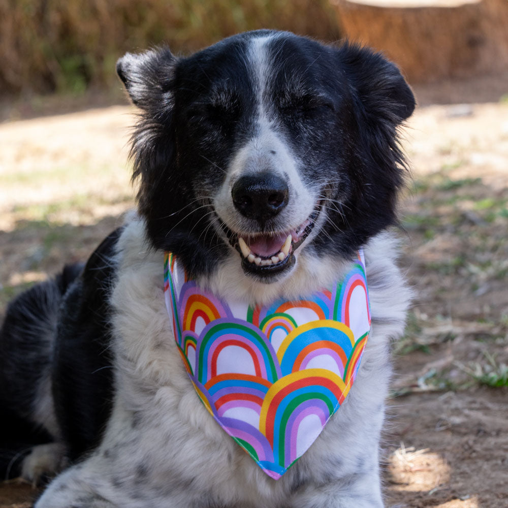 בנדנה I Poop Rainbows