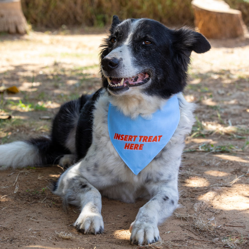 בנדנה Insert treat here