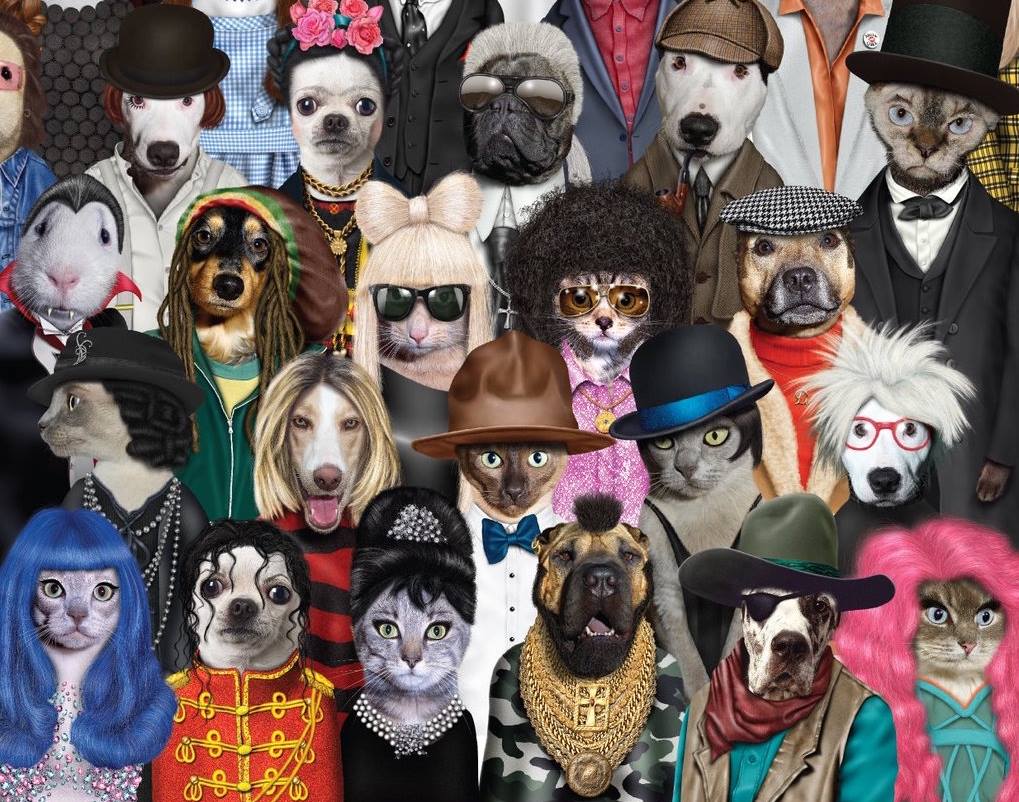 כרית Purrell - Pets Rock