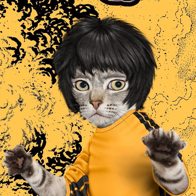 כרית Kung Fu - Pets Rock