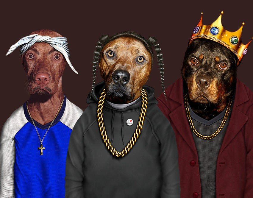 כרית Rap - Pets Rock