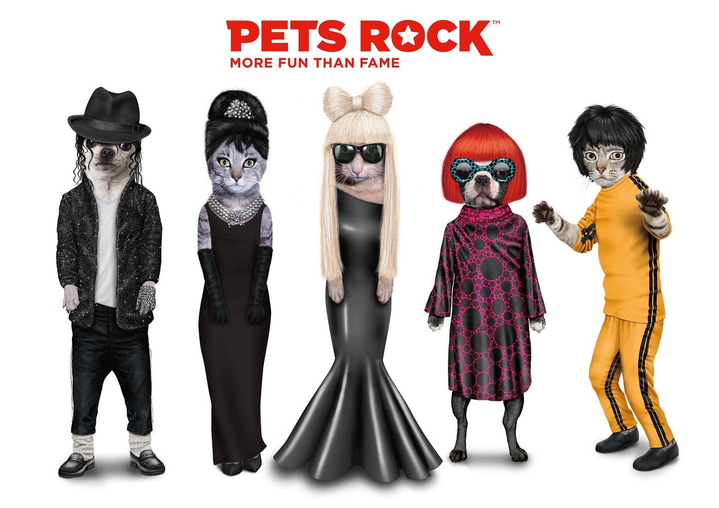 כרית Kung Fu - Pets Rock
