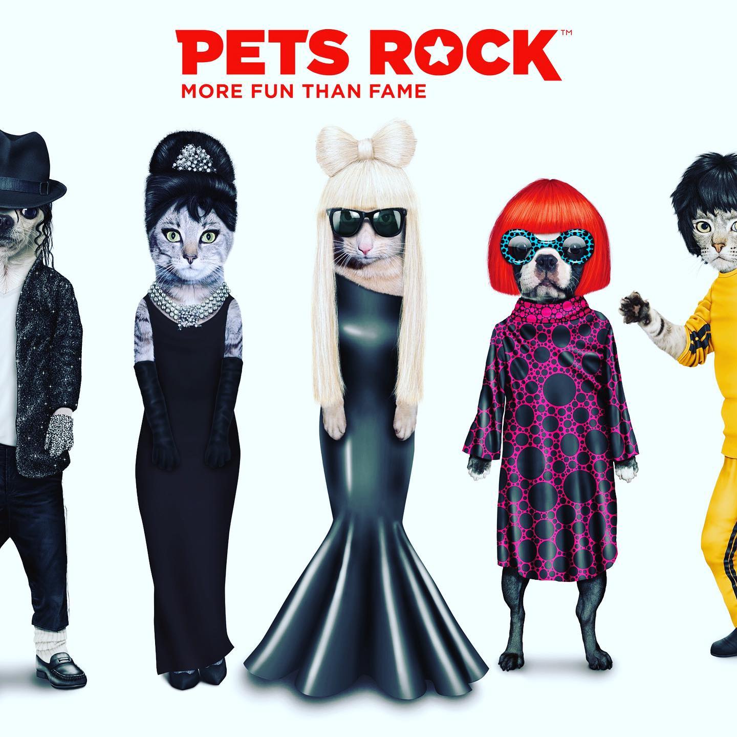 כרית GG - Pets Rock