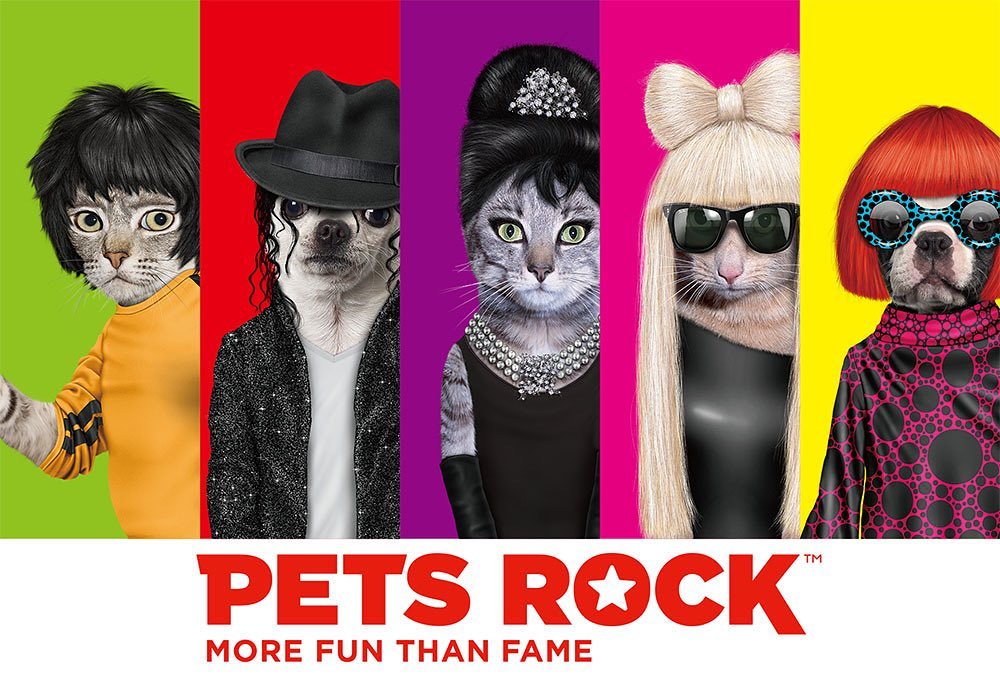 כרית GG - Pets Rock