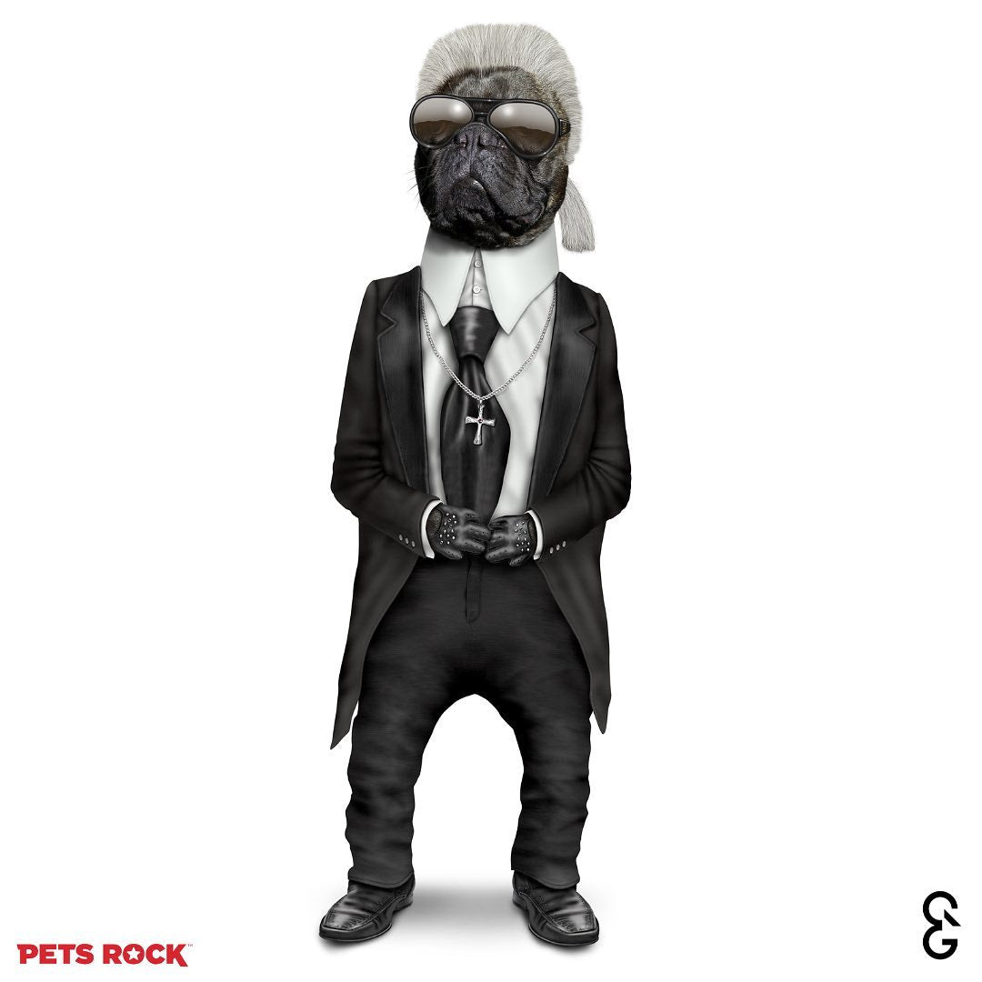 כרית Fashion - Pets Rock