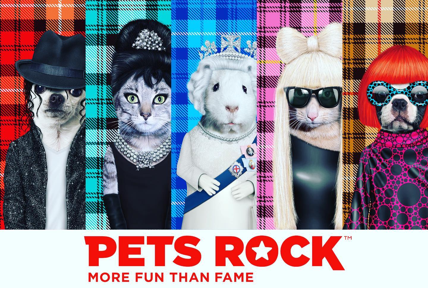 כרית Pop - Pets Rock