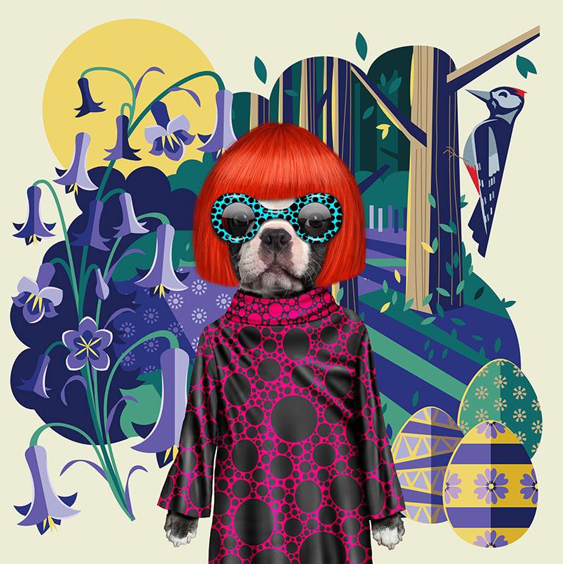 כרית Spots - Pets Rock