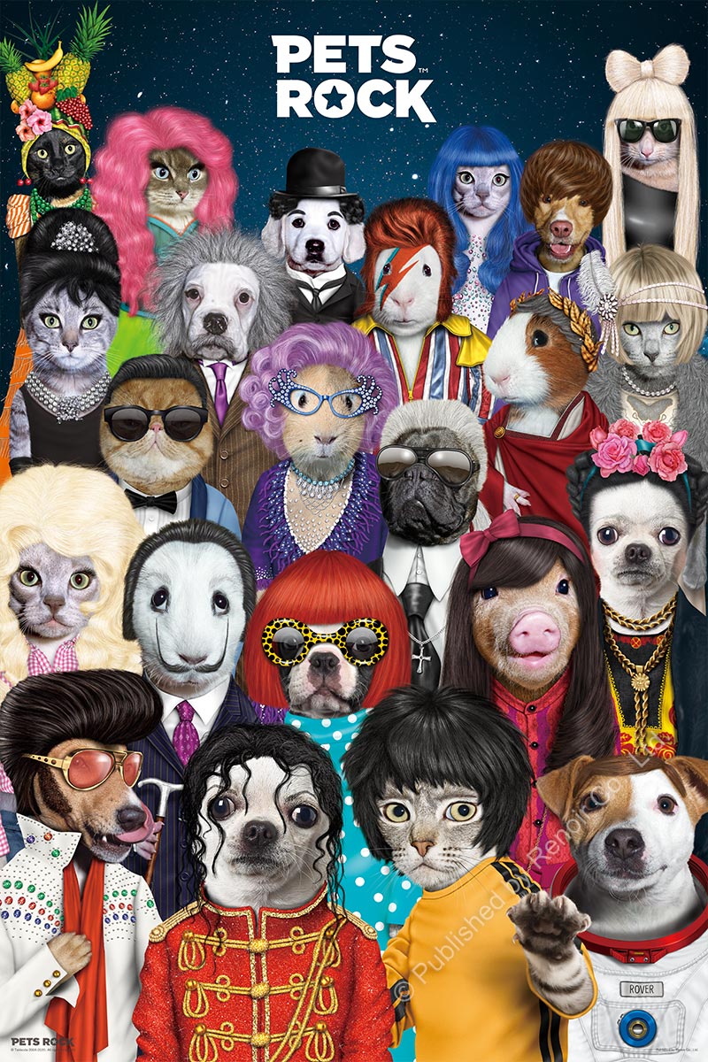 כרית Dog Boy - Pets Rock