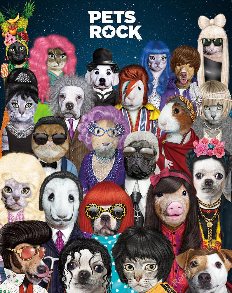 כרית Surreal - Pets Rock