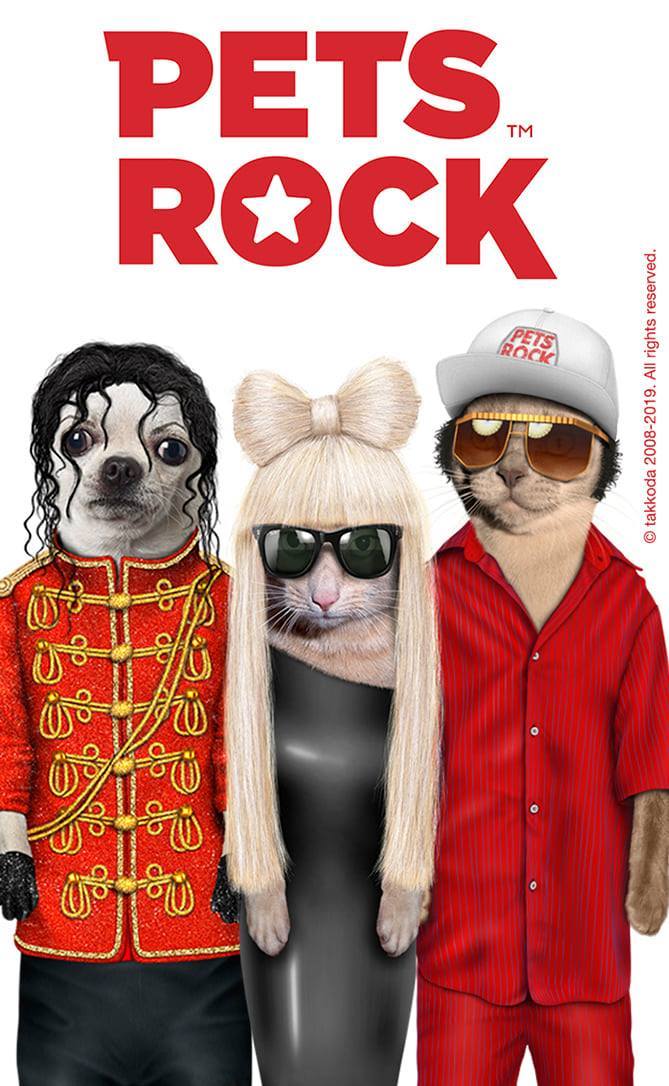 כרית Pop - Pets Rock