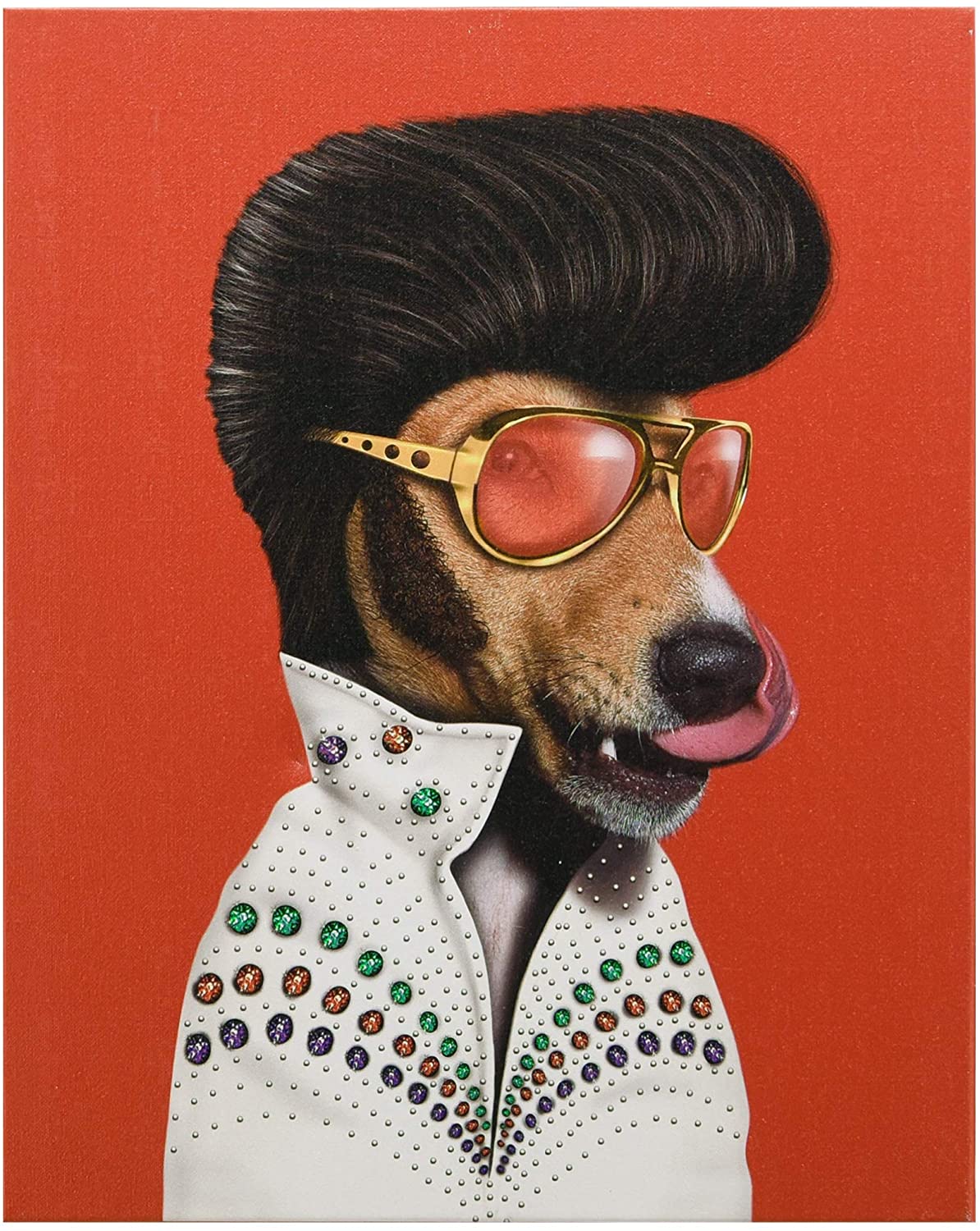 מארז גלויות Pets Rock - זמרים