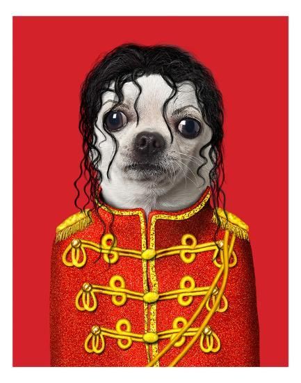 כרית Pop - Pets Rock
