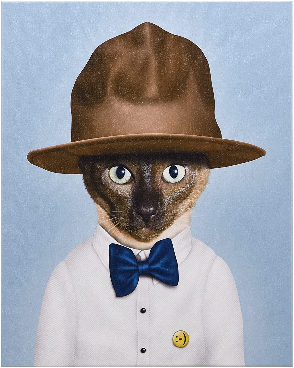 כרית Purrell - Pets Rock
