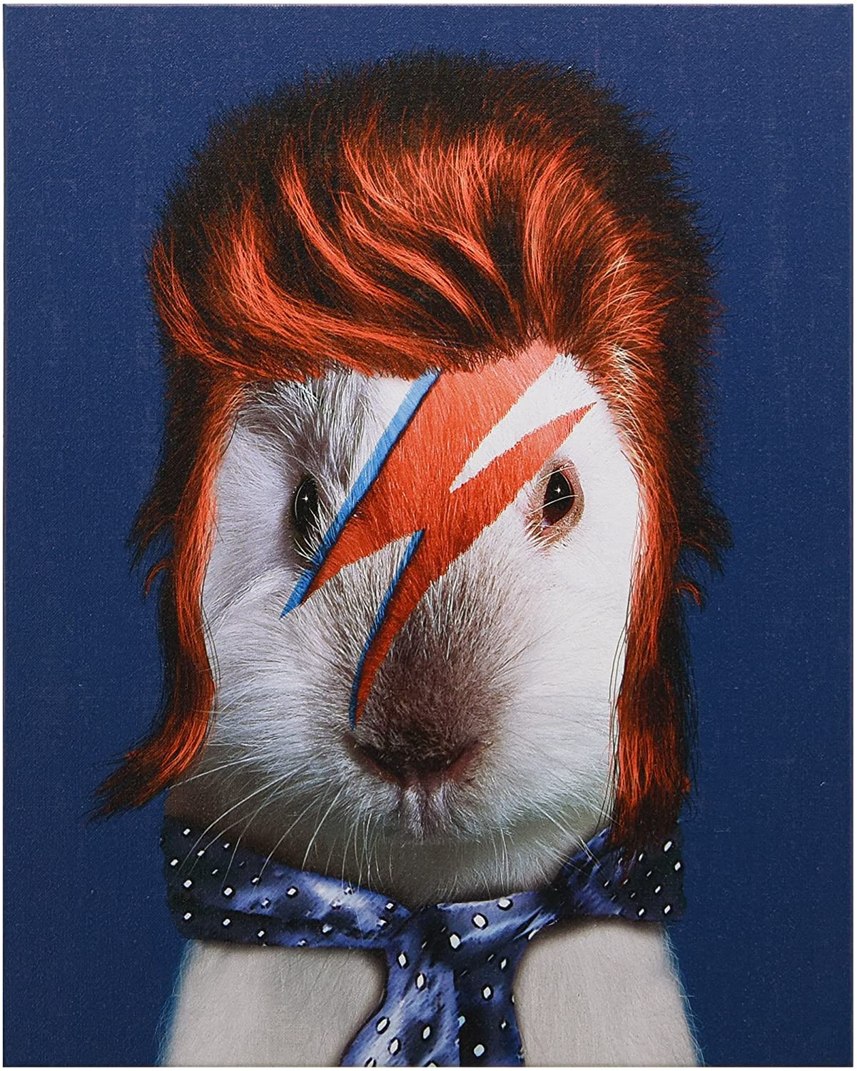 כרית Glam Rock - Pets Rock