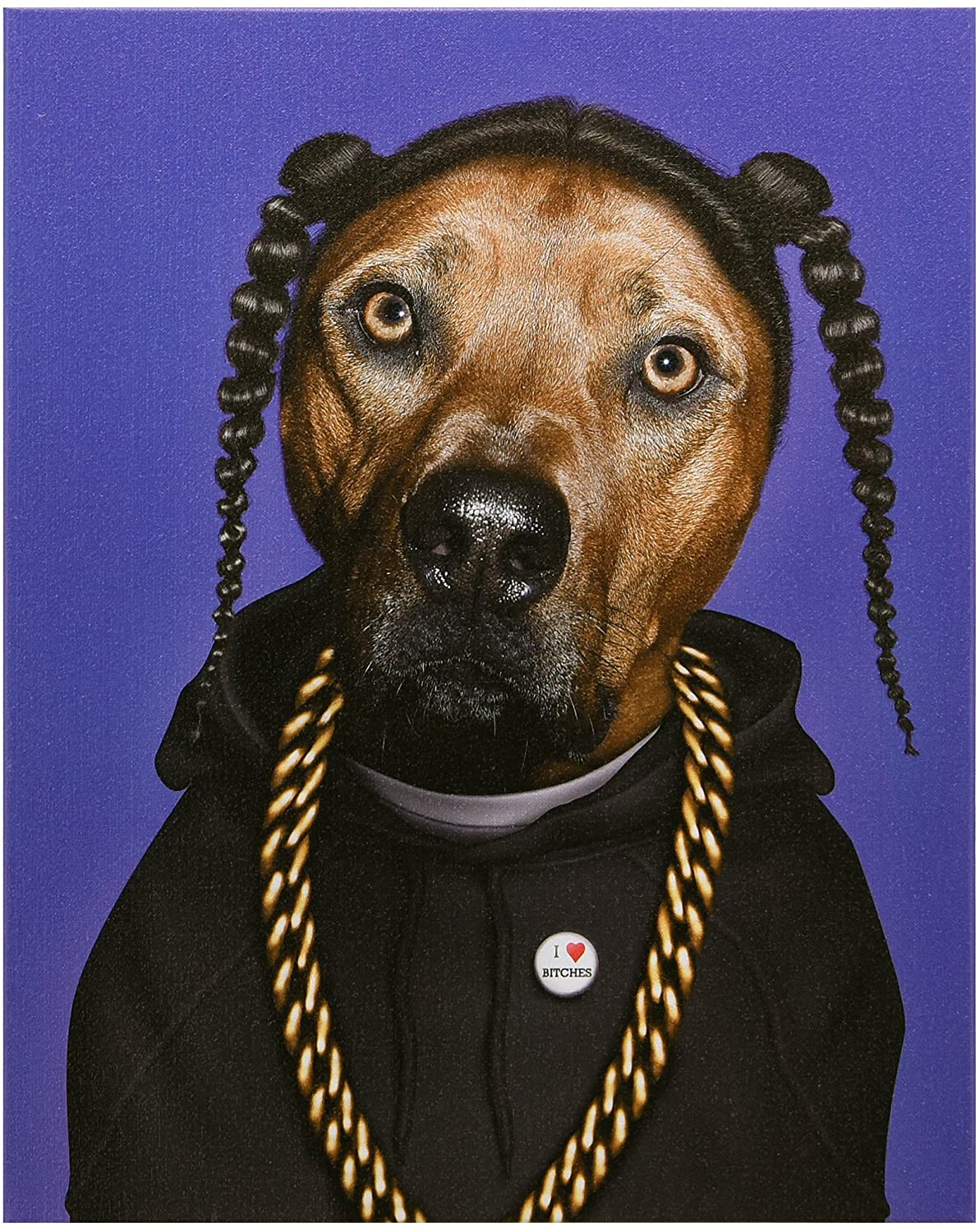 כרית Rap - Pets Rock