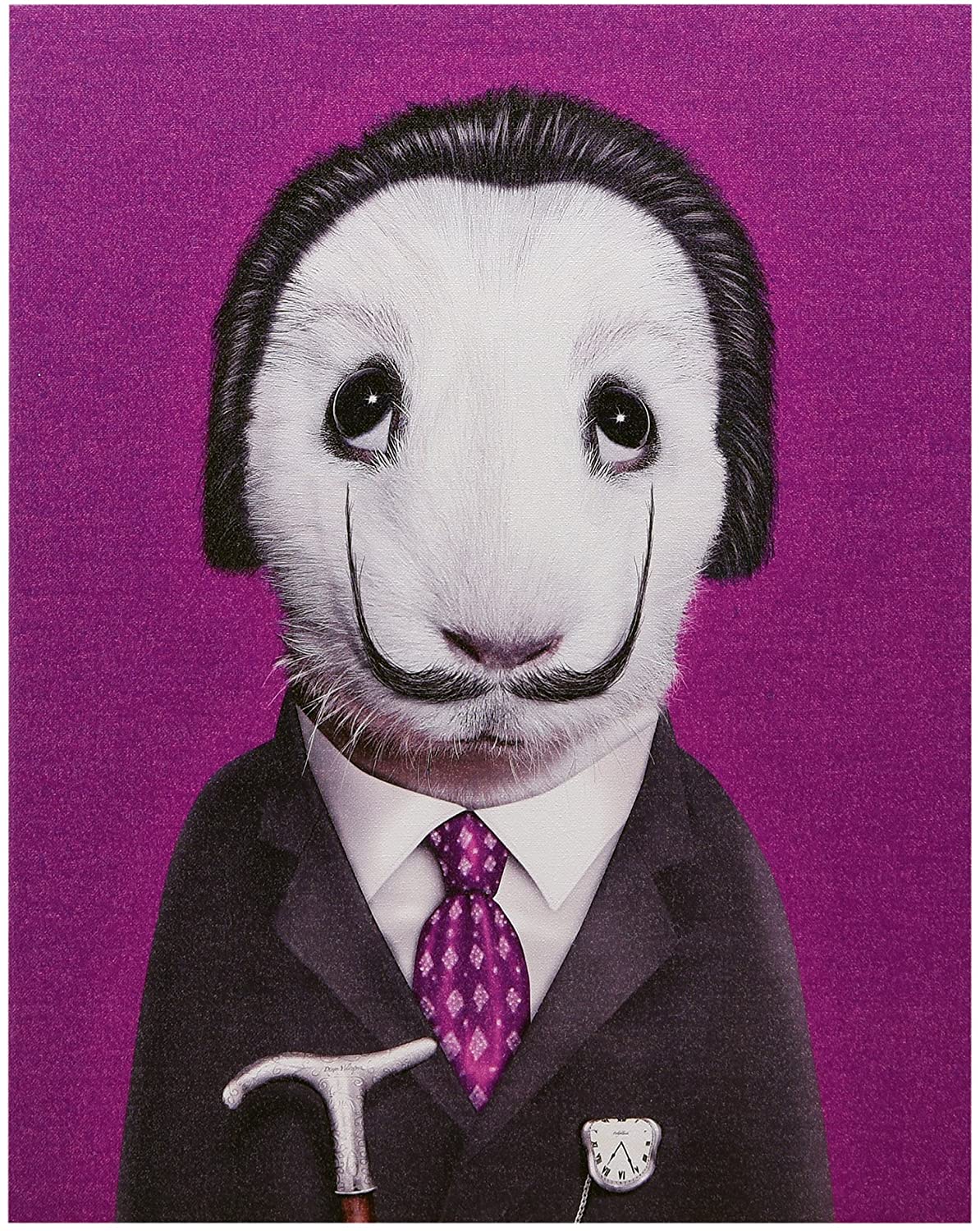 כרית Surreal - Pets Rock