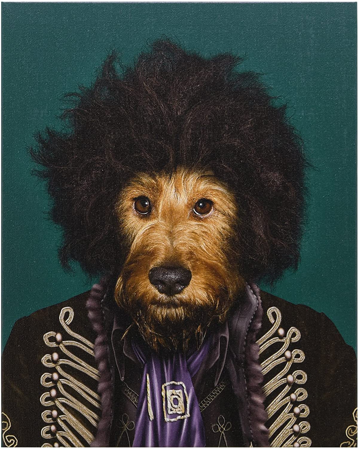 מארז גלויות Pets Rock - זמרים