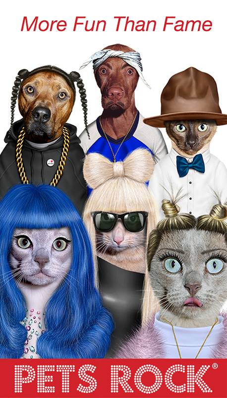 כרית Rap - Pets Rock
