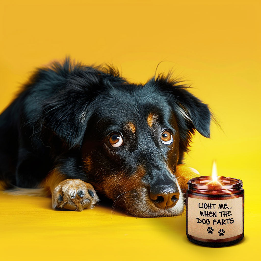 נר Light me when the dog farts