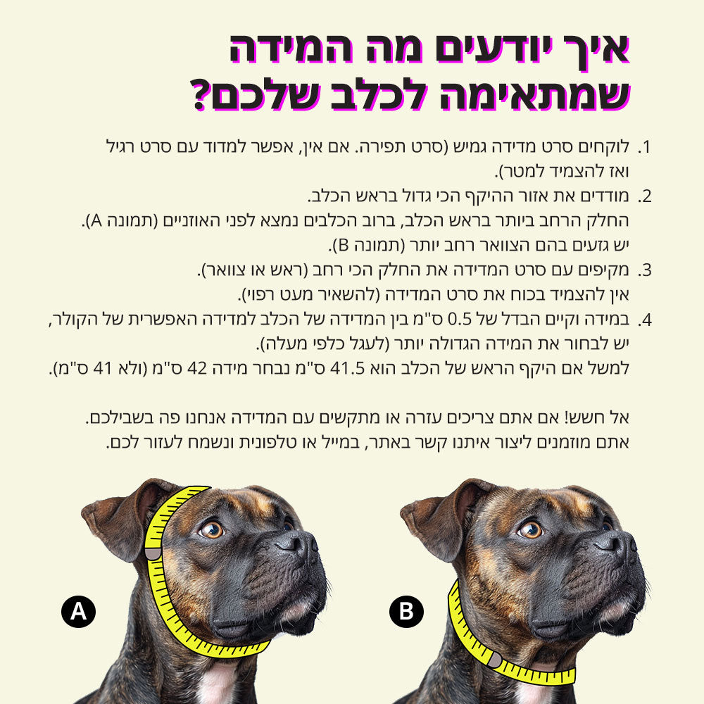 בסטיז בידז Flower Power