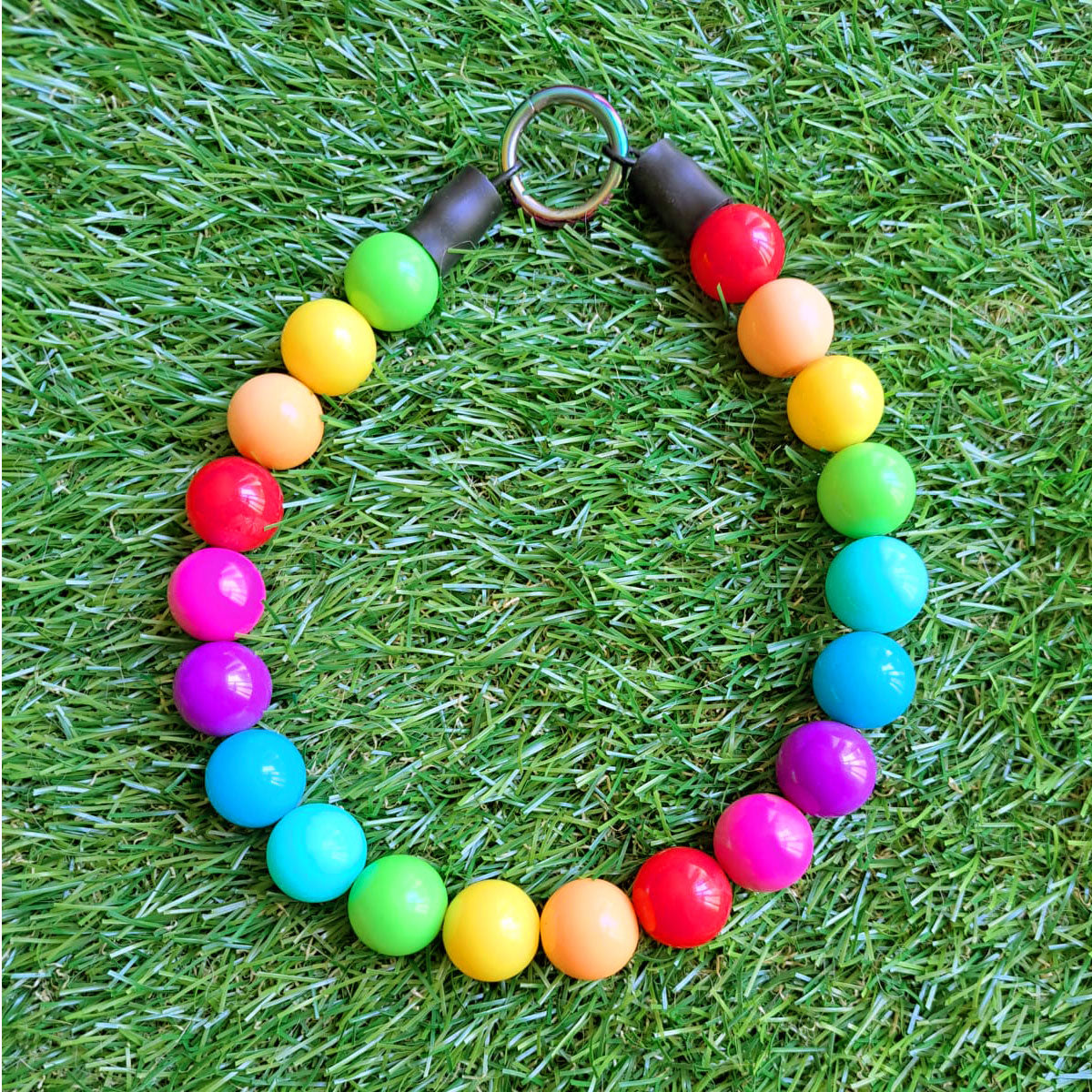 בסטיז בידז Rainbow