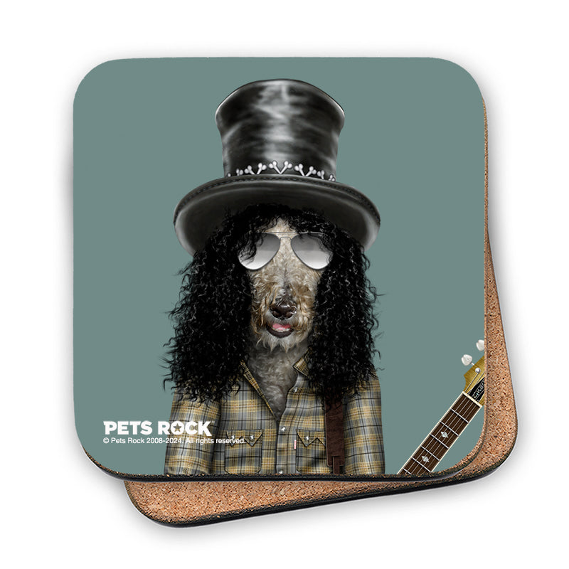 תחתית לכוס Gnash - Pets Rock
