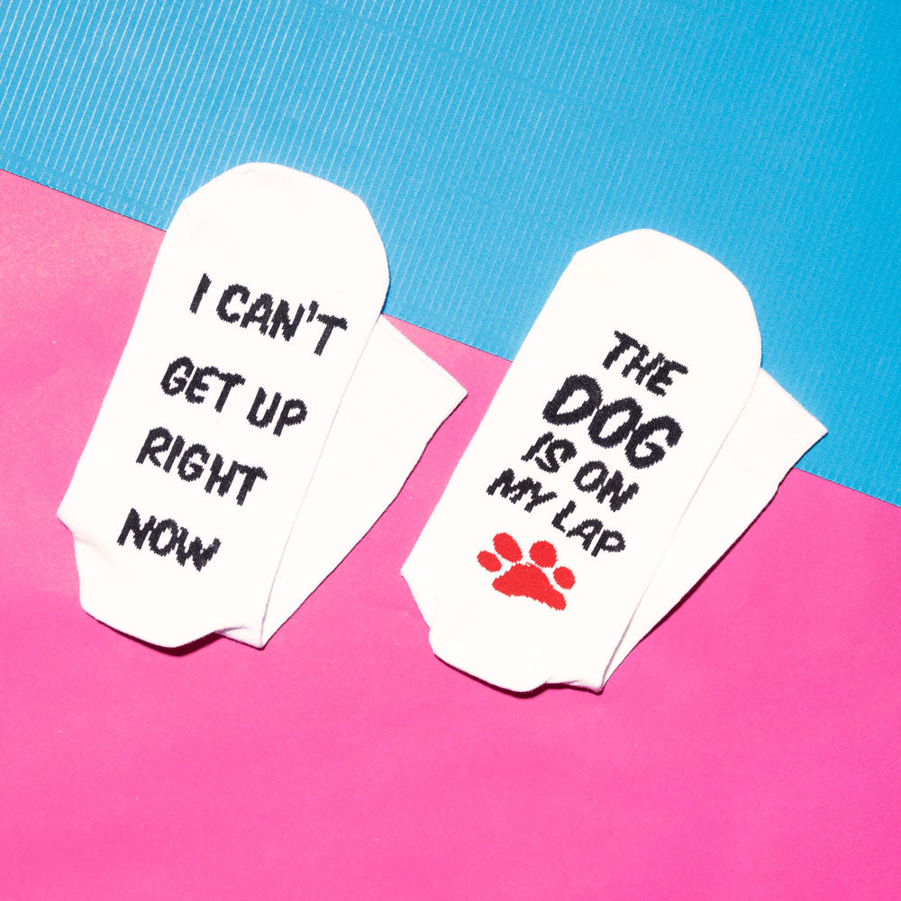 גרביים - Can't get up the dog is on my lap