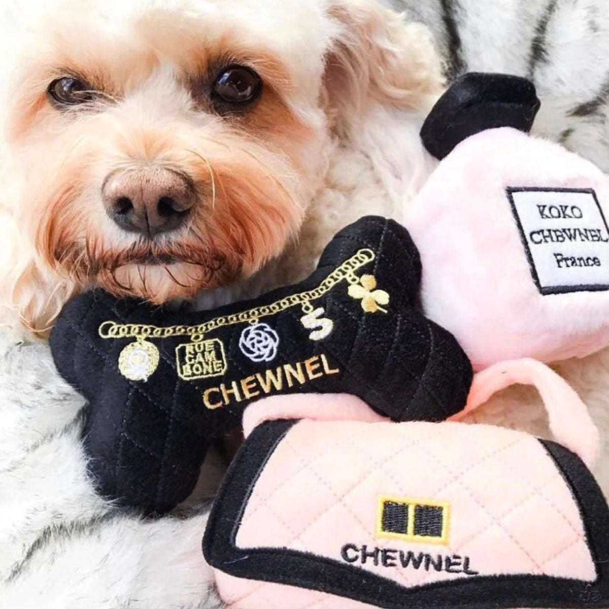 Chewnel עצם פלאפית שחורה