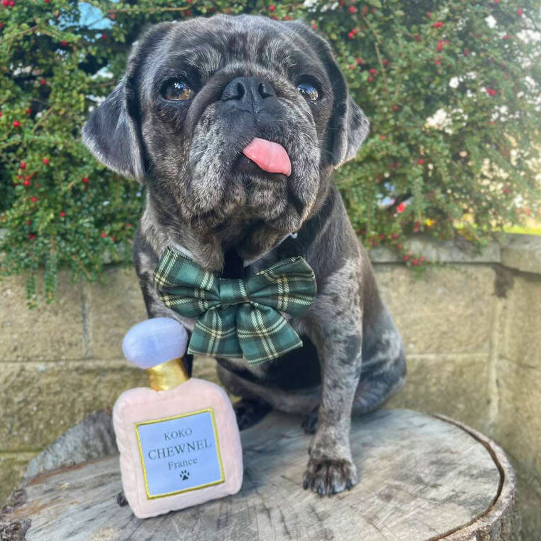 בושם פלאפי Koko Chewnel