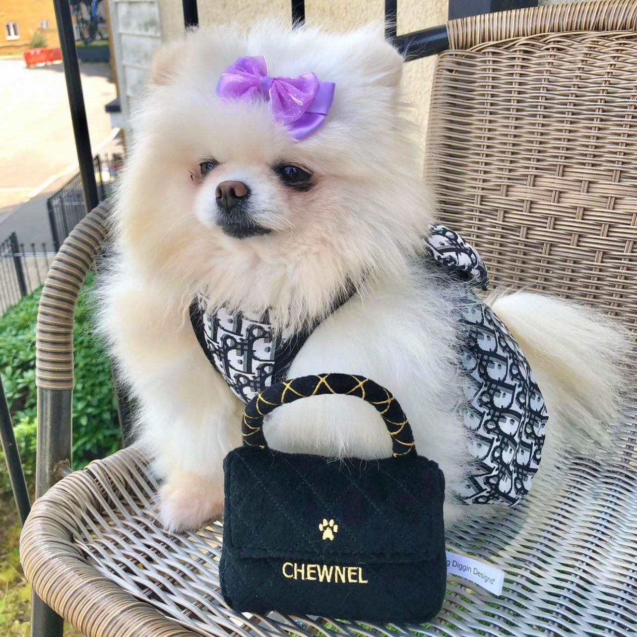 תיק פלאפי Chewnel