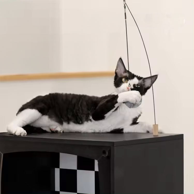 שידת TV פלוס