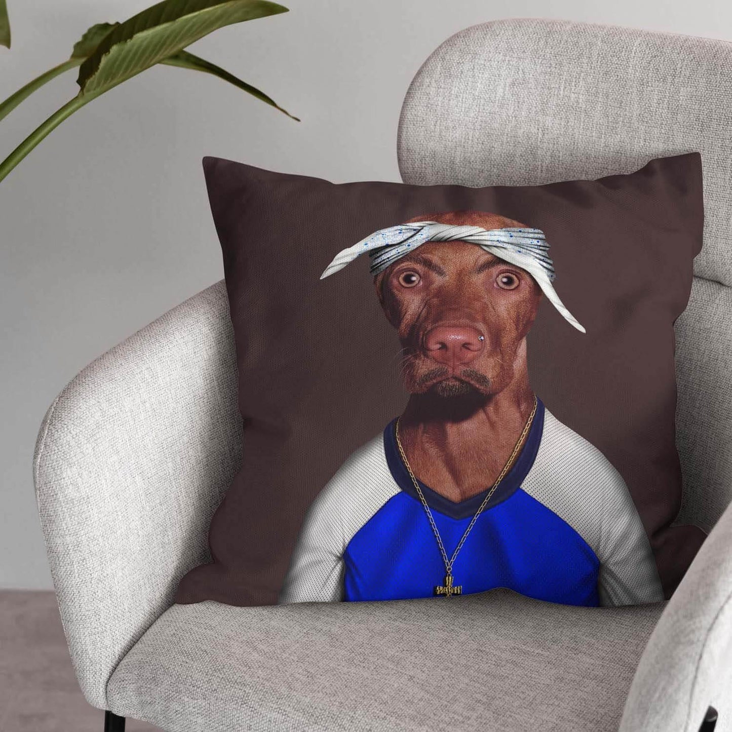 כרית Two Rap - Pets Rock