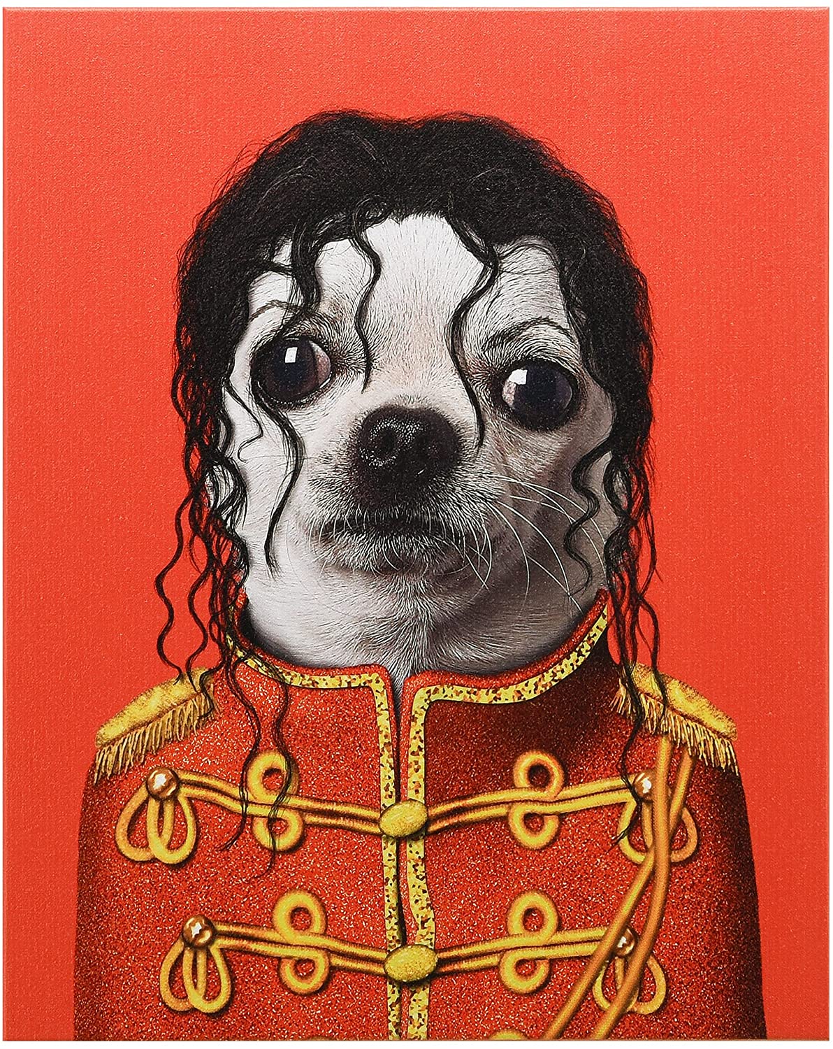 מארז גלויות Pets Rock - זמרים