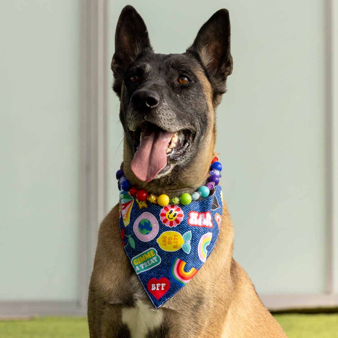 בנדנה Happy Birthday