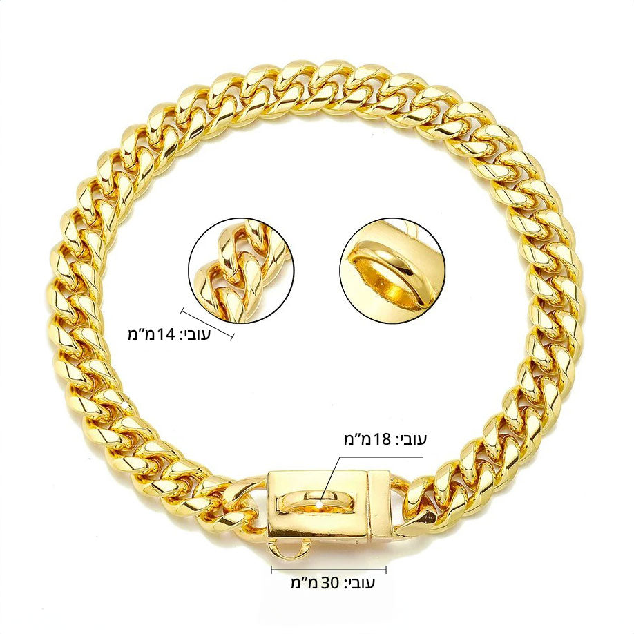 גורמט זהב לכלבים
