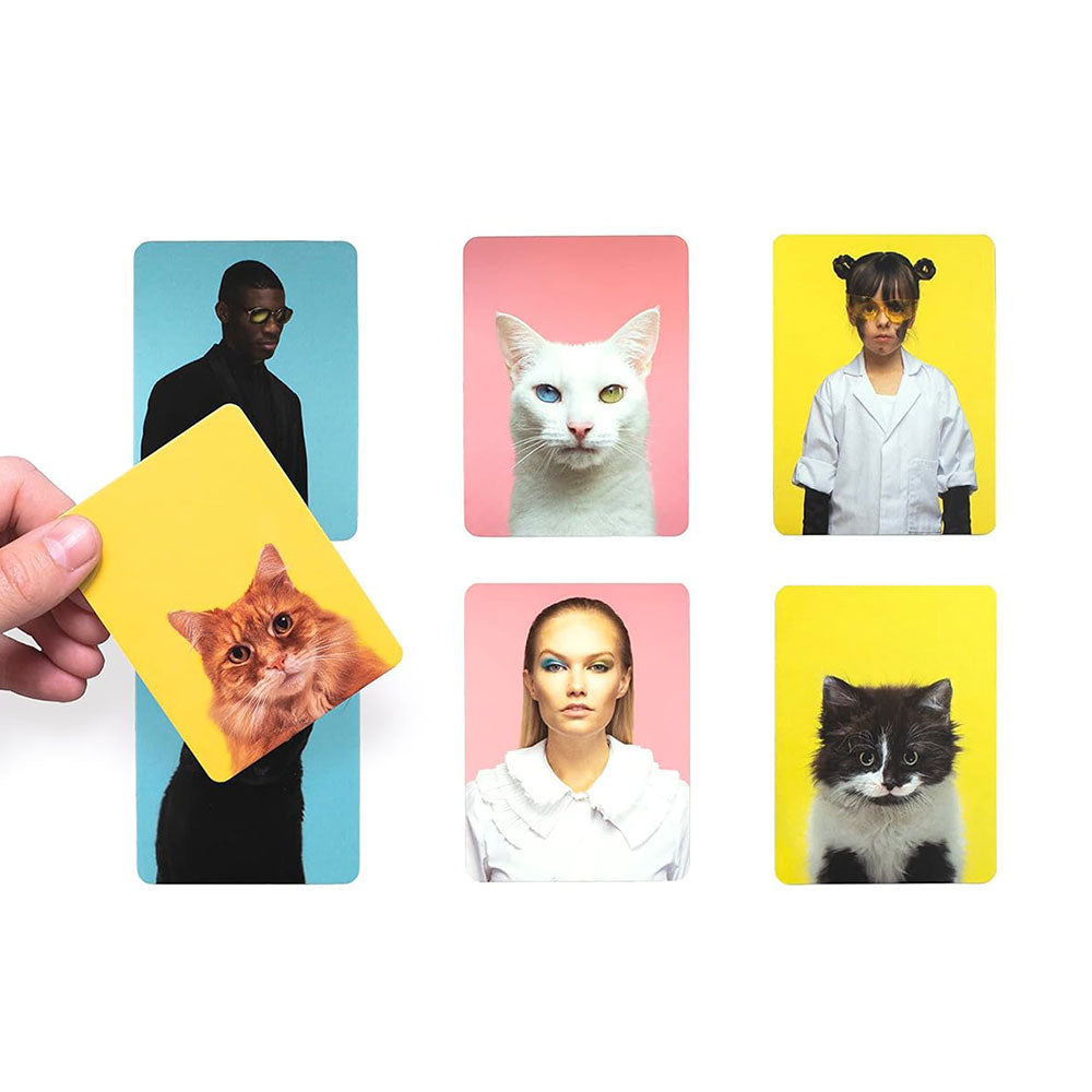 משחק זיכרון ?Do You Look Like Your Cat