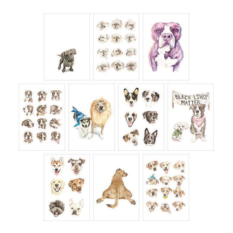 גלויות Dog Box
