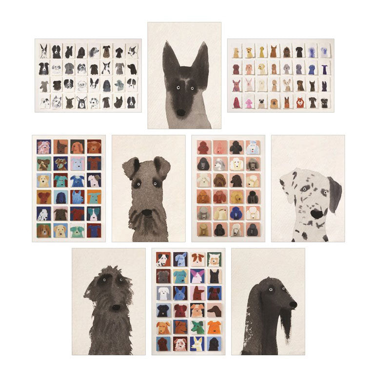 גלויות Dog Box