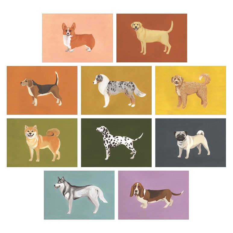 גלויות Dog Box