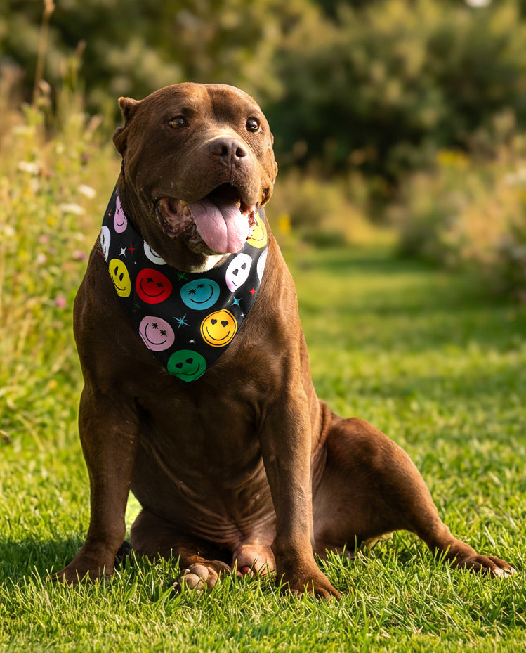 הסיפור של רמי