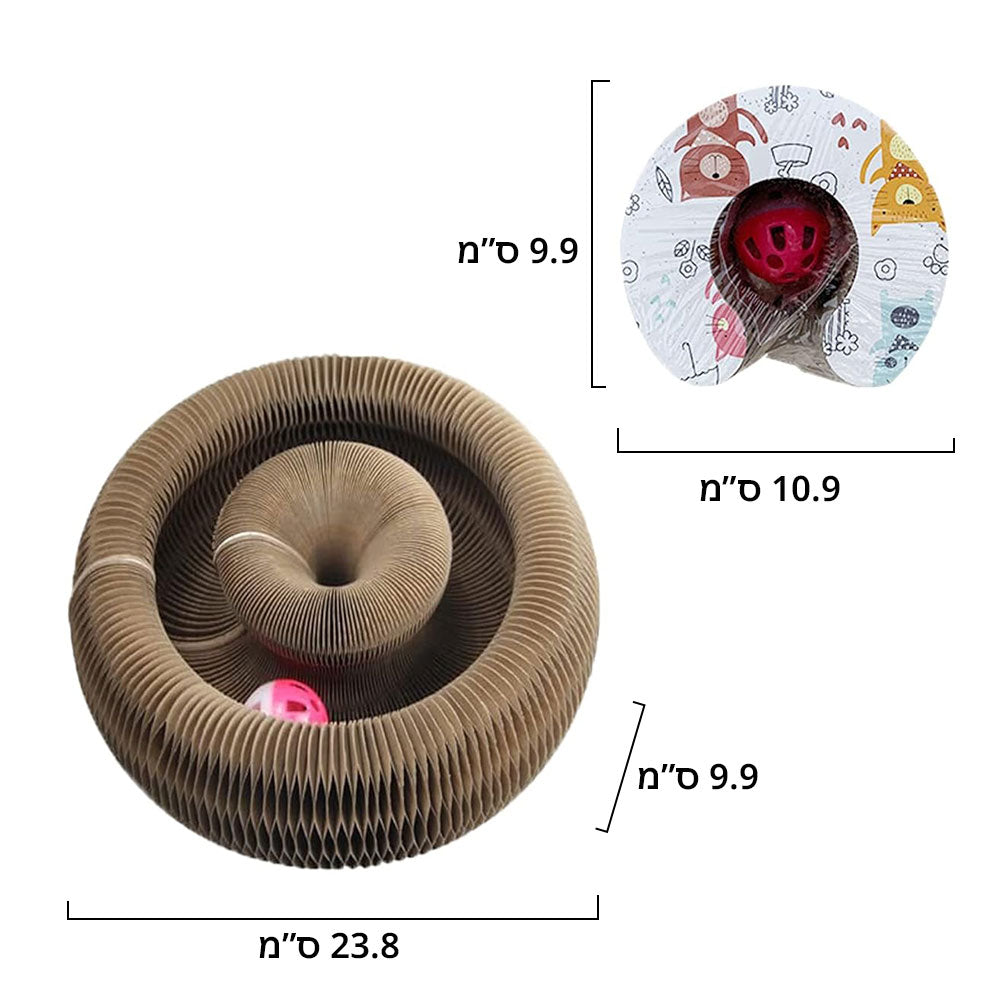 משחק אקורדיון לחתול