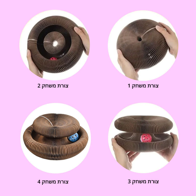משחק אקורדיון לחתול
