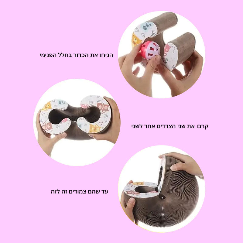 משחק אקורדיון לחתול