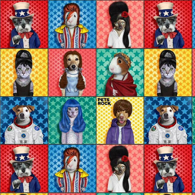 כרית Hit Dogs - Pets Rock