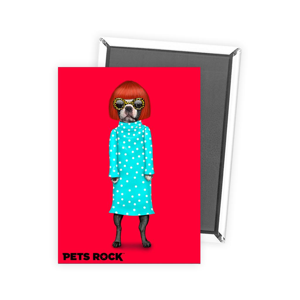 מגנט Dots - Pets Rock